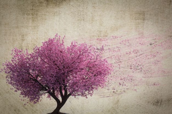 FOTOTAPET INSTABILE LAB SPRING WIND