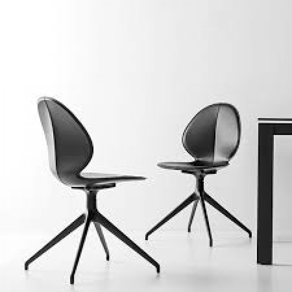 Scaun modern  CG BASIL