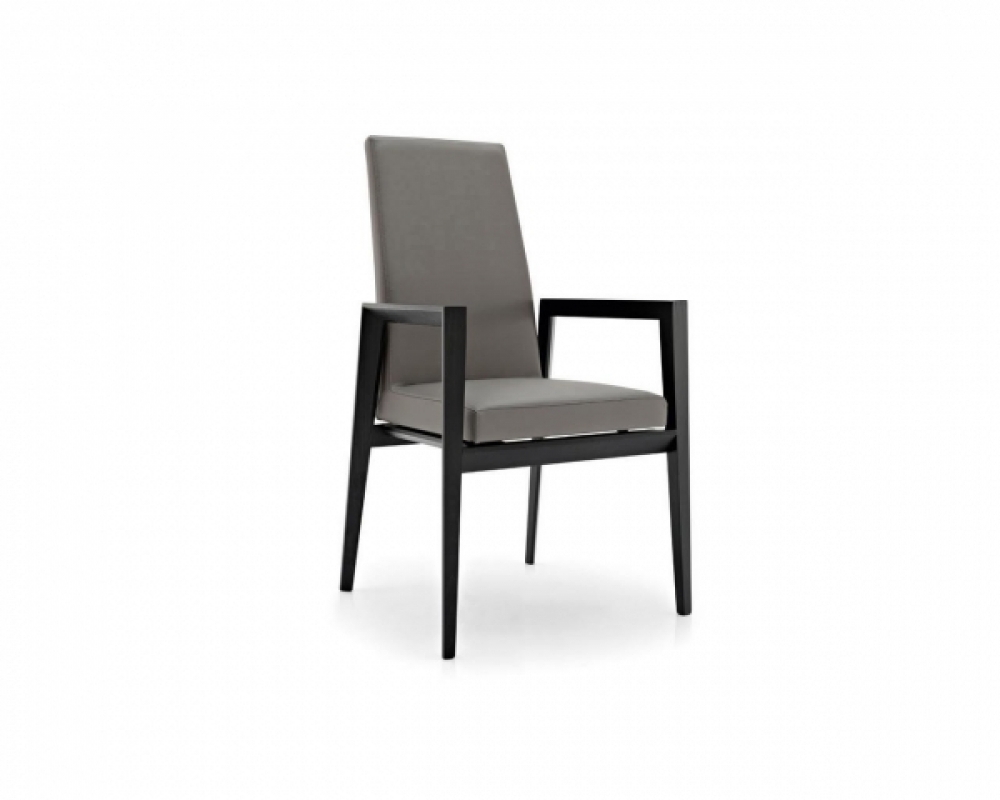 Scaun modern CG BESS